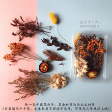 轻奢涞思芊永生花满天星雏菊干花花材包浮游花压花幼儿园手工花艺diy材料包 蓦然