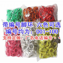 鸡环脚环记号环扣脚套斗鸡圆环鸡脚足环动物鸡鸭标记脚圈标签家禽 绿色无编号100个