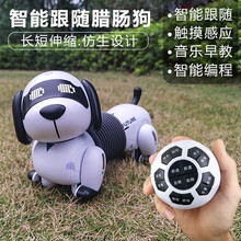 智能跟随机器狗儿童遥控电动仿真玩具狗会走路会唱歌动物编程机器人玩具小狗狗生日礼物 智能跟随狗（2充电池 多玩半小时）
