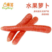 东升水果萝卜500g  生吃沙拉轻食 广州新鲜配送
