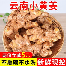 新鲜生姜 云南小黄姜5斤 品质老姜精装新鲜现挖辛辣味足 5斤装
