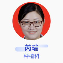 芮瑞 种植科 主治医师 江西泰康拜博口腔医院