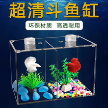 亚克力斗鱼缸生态小鱼缸高透水族箱客厅微景缸小型鱼缸桌面双格缸 加大款双格缸(22x12x15cm)套餐 送2白灯