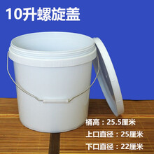 10升旋盖桶压盖桶家用水桶酱料桶酸菜桶涂料桶洗车桶钓鱼桶 10升食品级螺旋盖