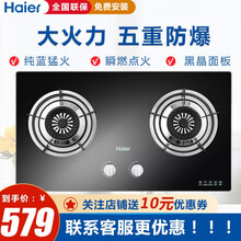 海尔（Haier）燃气灶烟灶套装4.2大火力灶具三重气密保护煤气灶双灶天然气液化气灶 4.1大火力燃气灶 天然气