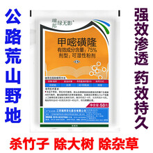 瑞邦绿无影75%甲嘧磺隆公路铁路墓机场荒地除草剂除树剂除剂芦苇烂根杂草灌木 50g