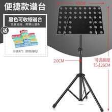 阿萨娜丝（Asanasi）带话筒支架乐谱架古筝小提琴吉他通用可升降折叠大谱台 便携谱台+乐谱夹