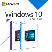 Win10微软正版windows10家庭版/专业版/企业版WIN10软件windows10软件系统 无票 Win10专业版 邮箱版