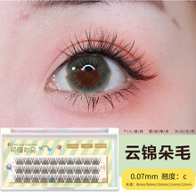 乐哉美妆嫁接睫毛自然 0.07A型仙女毛柔软美睫分段单簇种植假睫毛 0.07 C 11mm