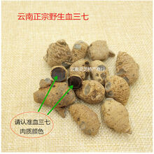 血三七云南野生血山七中药材正宗铁打损伤血野生泡酒料苗药 血三七统货【500克】