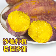 【现挖现发】沙栗红薯新鲜现挖板栗薯山东地瓜5斤小香薯香山芋黄心番薯 板栗红薯【净重5斤】 正宗山东板栗红薯