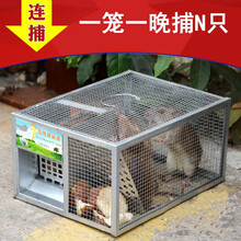 老鼠笼捕鼠器大号家用捉耗子逮抓全自动连续扑老鼠驱灭鼠抓鼠神器老鼠笼子