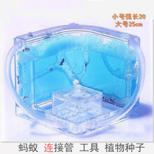 可选大小宠物玩具蚂蚁工坊生态巢超大城堡庄园屋别墅家园观察蚁后 蓝色 普通版蓝色+蚁30