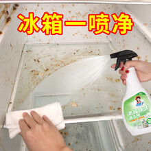 洁娘子冰箱除味剂清洁去味杀菌消毒家用清理除臭去除吸异味清洗专用神器 冰箱除味剂