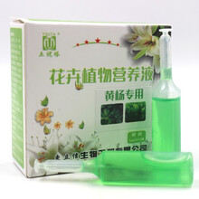 黄杨树专用营养液体肥万年青百日红树桩盆景灌木土培通用微量元素 10盒55元