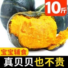 梓乐果 贝贝南瓜板栗老南瓜5斤日本甜糯婴儿小南瓜泥新鲜宝宝辅食10 5斤