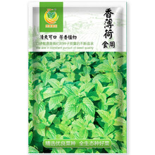凤鸣雅世食用香薄荷种子1000粒留兰香绿薄荷苗种籽驱蚊虫四季农家薄荷盆栽可食用薄荷种孑