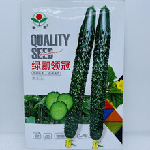 津优一号津研四号黄瓜种子高产抗病油亮绿瓤黄瓜种春秋季青瓜种子 绿瓤领冠15克
