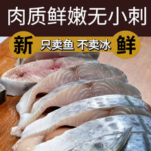 【净重无冰】马鲛鱼新鲜冷冻燕鲅鱼整条海捕鲅鱼海鲜水产批发 香妮曼特 马鲛鱼五斤【6一7条】