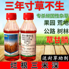 草甘膦除草剂除树一扫光杂草烂根连根死果园树百草灭草剂枯死农药 2500ml