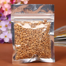 hoopet猫砂盆敞开式猫咪猫沙盆防外溅特大超大号半封闭防臭幼猫小猫厕所小号猫拉屎盆 赠品猫草种子（勿拍）-破损漏发不赔