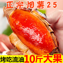 梓乐果 山东烟薯25号糖心蜜薯红薯新鲜10斤烤红薯农家沙地番薯地瓜香山芋 10斤 中果