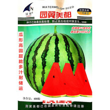 园翼美都西瓜种子瓜形高圆甜脆多汁耐储运农家春秋播种精选西瓜种 园翼美都原装400粒x5袋