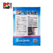 瑞蔬源 大包红花银苋菜种子30克 野菜四季种植柳叶红苋菜种子红苋菜种籽青苋菜汉菜圆叶白苋菜蔬菜种子