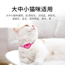 防猫叫扰民神器止吠器小型猫猫防叫自动电子项圈止叫器宠物训练器