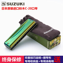 日本suzuki铃木C20蓝调全音阶10孔布鲁斯口琴初学者学生推荐 PADDY(爱尔兰)音阶E调