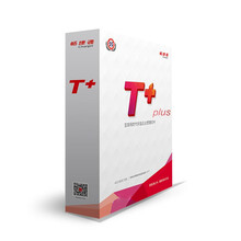 畅捷通 T+标准版V13.0 用友ERP财务 办公记账软件（总账+报表+出纳）1用户（购销管理+库存核算）2用户 商用