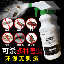 肿腿蜂灭杀神器卫生间除衣蛾衣鱼臭虫药家用室内飞蛾药臭大姐母婴安全型床上免洗防杀吸血虫下水道通用杀虫剂 2瓶装