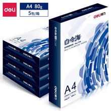 得力（deli）白令海 80g A4 复印纸 打印纸 500张/包 5包1箱（整箱2500张）