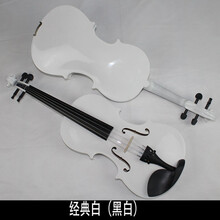 小提琴初学者练习成人儿童练习考级小提琴配送全套老师教学onevan 经典白(黑白)(2/4)1/2