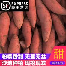 红薯新鲜5斤福建六鳌红心蜜薯10农家自种番薯沙地小地瓜 大果(椭圆居多，1斤1-3个左右) 5斤