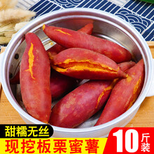 娇瑰 精选品质 新鲜蜜薯10斤农家自种板栗薯山东烟薯地瓜糖心小山芋番薯沙地红薯【坏果包赔】 5000g 大果