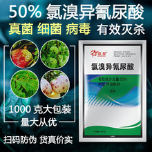 瀚沃 50%氯溴异氰尿酸杀菌剂氯溴异氰脲酸土壤消毒柑橘溃疡病野火病软腐病霜霉病病毒病农药 20g