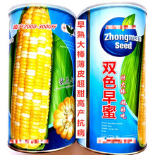 中茂双色早蜜玉米种子早熟大棒薄皮超甜高产抗病农家春秋播种精选 双色早蜜原装500克x5罐