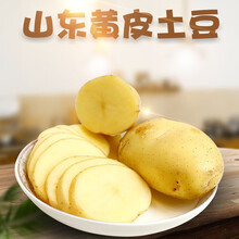 山东黄皮大土豆5斤9斤新鲜黄心大号马铃薯蔬菜洋芋 3斤