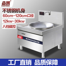 奋腾大功率商用电磁炉15kw大炒炉厨房电炒锅餐厅学校食堂工厂大锅灶饭堂三相电380v单头凹面电灶台 15kw/380v/Φ700mm大炒