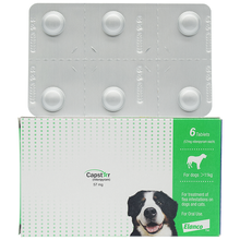 宠诺诺普星宠物犬猫狗狗体外驱虫药唏啶虫胺片口服除蚤虱子诺普星宠物狗狗猫咪体外驱虫药宠仙翁 诺普星（11.1-57KG）单粒拆售