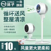 扬子空气循环扇定时台式电风扇落地扇家用静音立式涡轮对流风扇遥控摇头办公室 立式遥控
