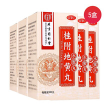 5盒 北京同仁堂 桂附地黄丸（水蜜丸）360丸 温补肾阳补肾药用于肾阳不足所致腰膝怕冷小便不利痰饮喘咳