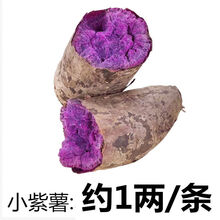 沙地紫薯番薯地瓜蔬菜(2/5/10斤)整箱 【2斤装】迷你小紫薯 沙地种植【香粉甜糯】