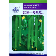 江苏一号特长丝瓜种子油绿薄皮嫩肉超长高产抗热农家春秋播种精选 江苏一号丝瓜原装10克x10袋