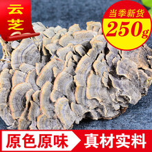 品茸堂 云芝  白山云芝云芝蘑深山整枝野外生长灵芝 云芝250g