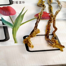 羊蛋 正宗干羊蛋羊宝羊睾丸中药材羊肾羊腰子男性滋补壮腰泡酒料 【山羊鞭一条】15克左右送大红枣