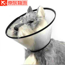 CHUKCHI楚克奇伊丽莎白圈宠物防咬防抓挠狗猫咪脖圈喷药涂药防止舔舐 6#调节范围24.5-29.5CM