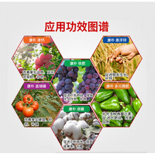 德国康朴多元微肥液钙铁肥悬浮锌液硼微量元素水溶肥料口叶面肥 康朴液硼150g