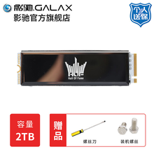 影驰名人堂HOF PRO M.2 500G1TB2TB  SSD 4.0 NVME 台式机固态硬盘 HOF PRO 20 M.2 2T